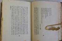 野口米次郎詩論