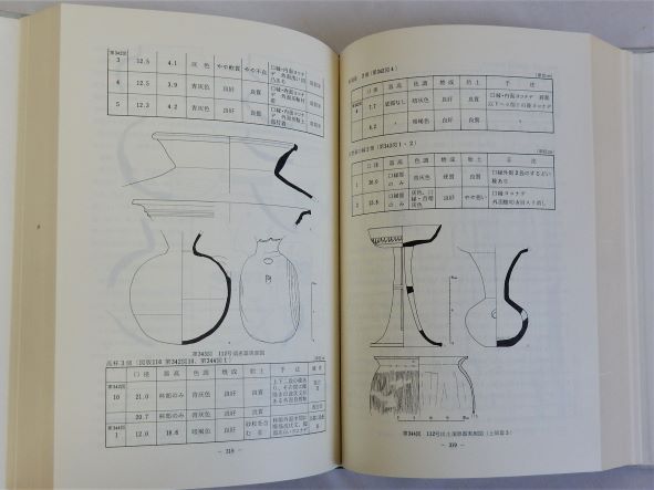 新沢千塚古墳群 図版篇共 全3冊揃 奈良県史跡名勝天然記念物調査