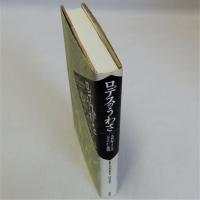 ロデスのうわさ(19世紀フランスの一大まやかし裁判)