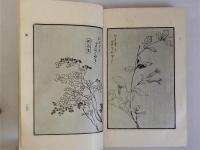 萬葉古今動植正名