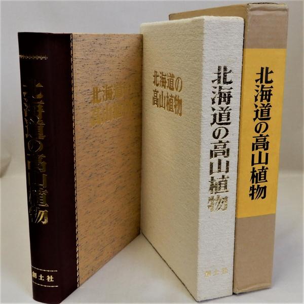 スター36人斬り (ホリデー新書)(竹中労) / 瑞弘堂書店 / 古本