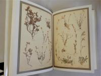 (英)The Pressed Plant