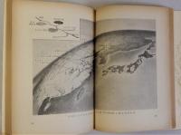 国土の改造　われわれは豊かになれるか　(村の図書館)