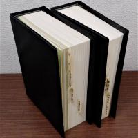 TAX&LAW 非公開会社の法務と税務(加除式) 改訂版　追録78号(平成16年5月)までさしかえ済　揃2冊