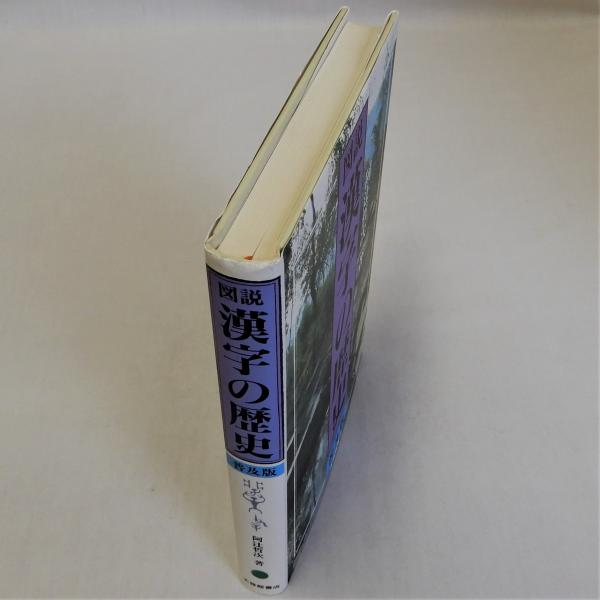 図説漢字の歴史 普及版(阿辻哲次) / 古本、中古本、古書籍の通販は