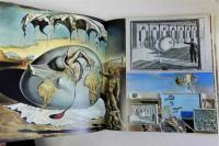 DALI　ダリ　(日本の愛読者へのダリのサイン)付