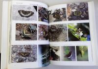 生態写真集 中国の蝶