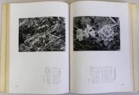 高山と高山植物　日本中部