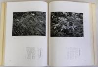 高山と高山植物　日本中部