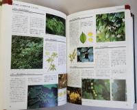 樹木大図鑑　OUTDOOR　GRAPHICS