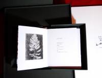 木村茂銅版画集「樹」　刷了銅版画原版1点(原作者刻印入り)及び表紙銅版画シート1葉付きの特製12部本の内