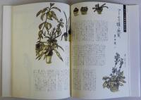 わたしの博物誌