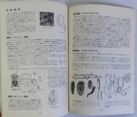 大阪湾の海岸生物　1976年特別展