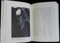 動物と人間の世界認識　イリュージョンなしに世界は見えない