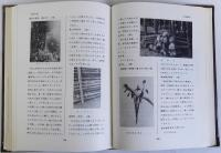竹類語彙(自然科学から民俗学まで)