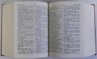 新日漢辞典