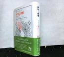 神性と経験　ディンカ人の宗教　叢書・ウニベルシタス1095