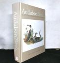 Audubon Birds  selected prints from the birds of america