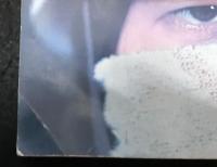 グラフ　日大闘争