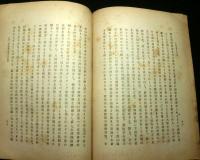 支那革命外史　普及版