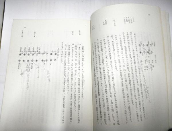 四柱推命学現代看法 財禄編(亀石厓風 著) / 古本、中古本、古書籍の