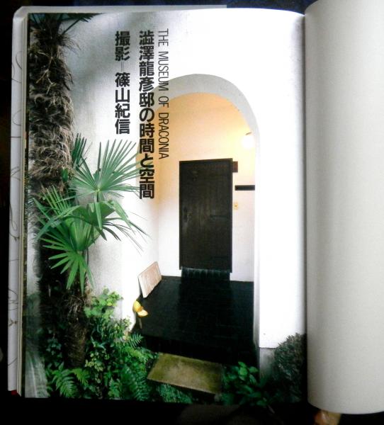 澁澤龍彦 夢の博物館(種村季弘 巌谷國士 出口裕弘 東野芳明 荒俣