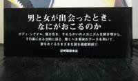 愛の解剖学