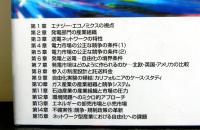 エナジー・エコノミクスー電力・ガス・石油：理論・政策融合の視点ー