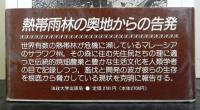 サラワクの先住民　　消えゆく森に生きる