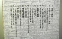 自由人の軌跡　　近代の文学と思想
