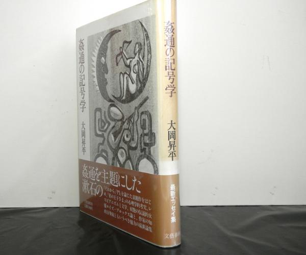 乱流現象の科学: その解明と制御 | 巽 友正 |本 | 通販 | Amazon