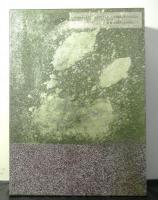 田辺聖子書誌　近代文学書誌大系３