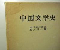 中国文学史
