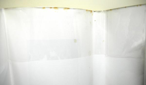 美と略奪 詩的生態学へのまなざし(与謝野文子著) / 古本、中古本、古  