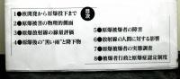 共同研究 広島・長崎原爆被害の実相