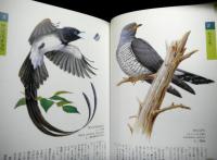 bird song　野鳥５０種の図鑑とＣＤで聞くさえずり