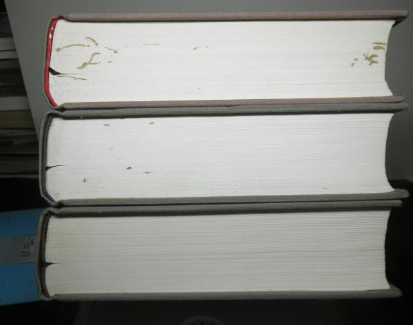 正法眼蔵啓迪 揃3冊(西有穆山禅師提唱) / 古本、中古本、古書籍