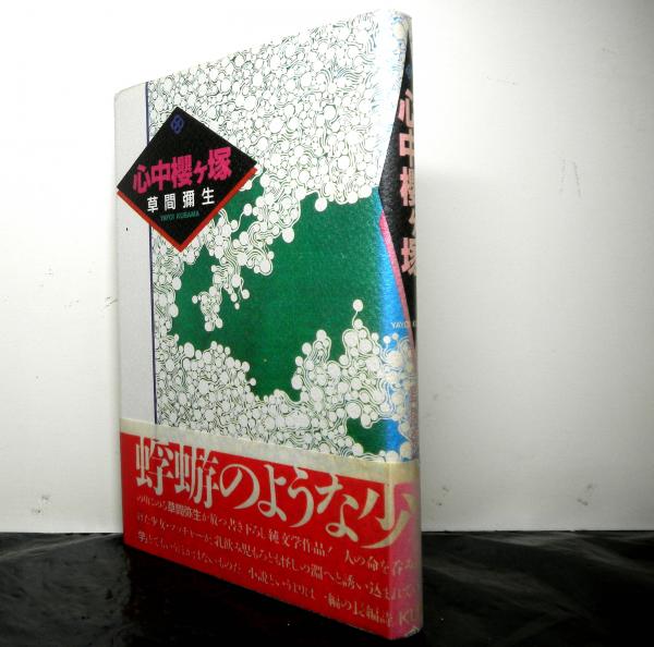 澁澤龍彦 夢の博物館(種村季弘 巌谷國士 出口裕弘 東野芳明 荒俣