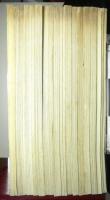 雑誌　本草　３号～２０号　内１２号欠　１７冊