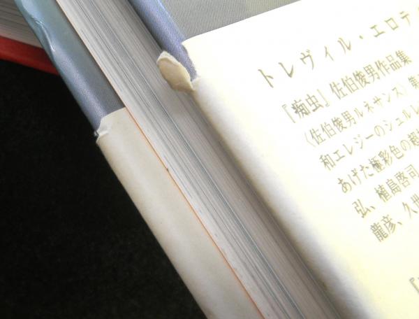 痴虫 1号・2号 揃2冊(佐伯俊男) / 古本、中古本、古書籍の通販は