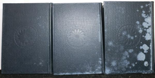 【陽明学派】大日本文庫『陽明学派』上中下巻揃い、非売品、ふりがなあり読み理解 陽明学派】大日本文庫『陽明学派』上中下巻揃い、非売品