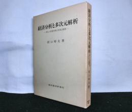 経済分析と多次元解析　新しい計量空間の形成と展望