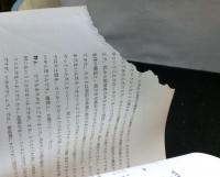 朝鮮式山城の検討　　古代を考える15