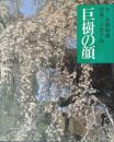 巨樹の顔