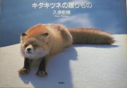 キタキツネの贈りもの