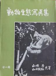 動物生態寫眞集　第一輯