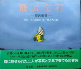 飛ぶ宝石−蝶の情景