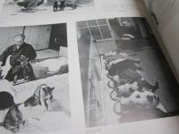 大佛次郎展 : 生誕一〇〇年記念 : 「鞍馬天狗」から「天皇の世紀」まで : 図録