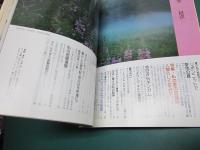 私の部屋 SEIKATSU NO EHON 73号
