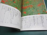 私の部屋 66号